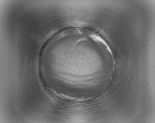 X0000069810679200606091835