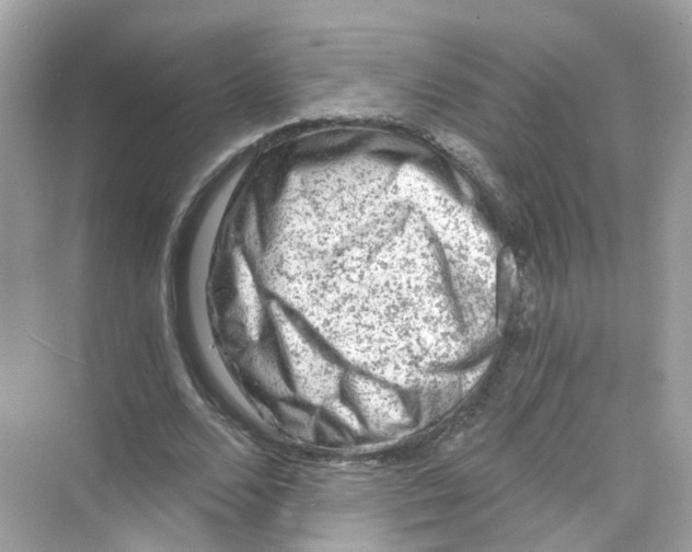 X0000069810680200606091835