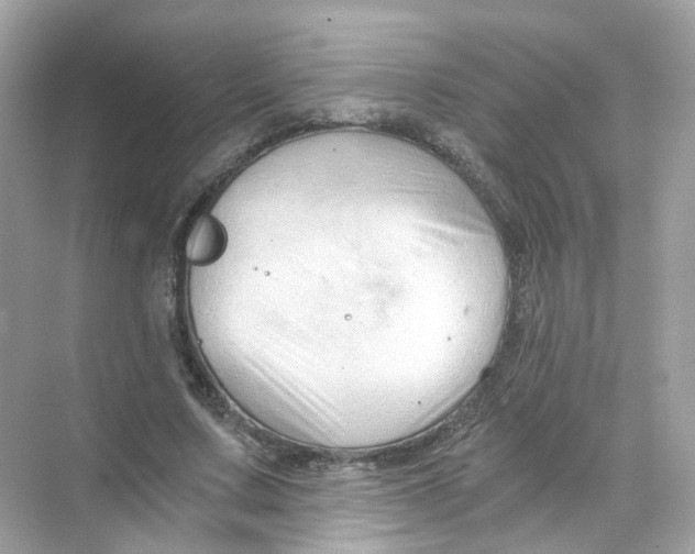 X0000069810683200606091835