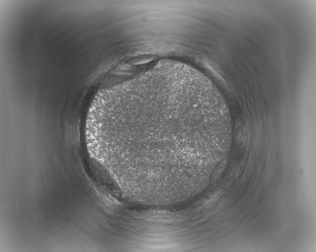 X0000069810685200606091835