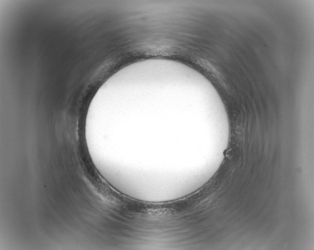 X0000069810686200606091835