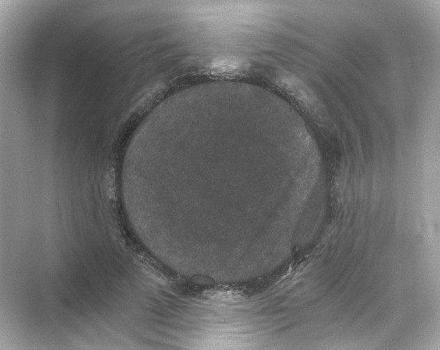 X0000069810689200606091835