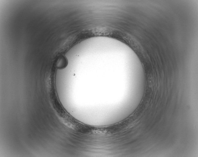 X0000069810690200606091835