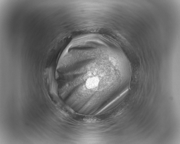 X0000069810693200606091835