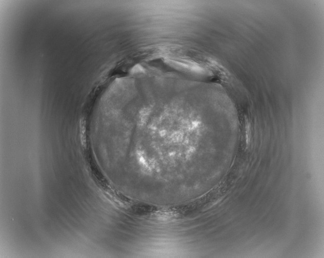 X0000069810696200606091835