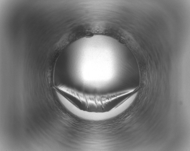 X0000069810697200606091835