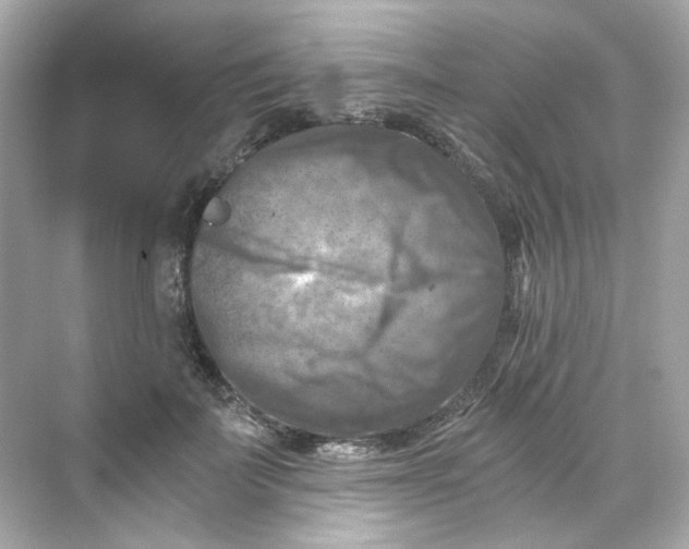 X0000069810699200606091835