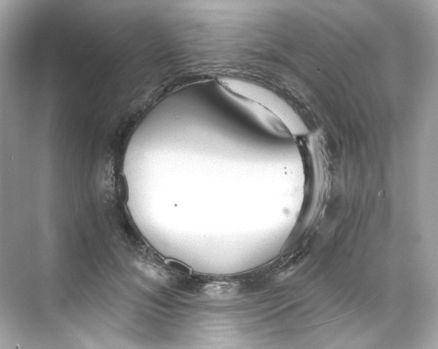 X0000069810700200606091835