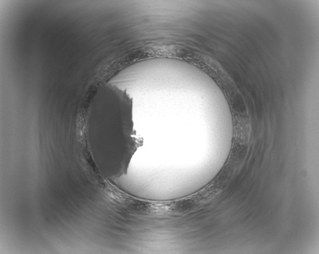 X0000069810701200606091835