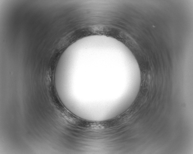 X0000069810702200606091835