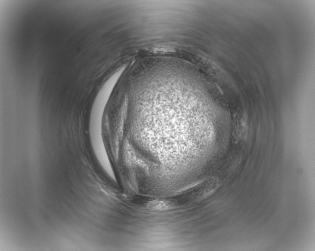 X0000069810704200606091835