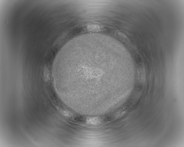 X0000069810705200606091835