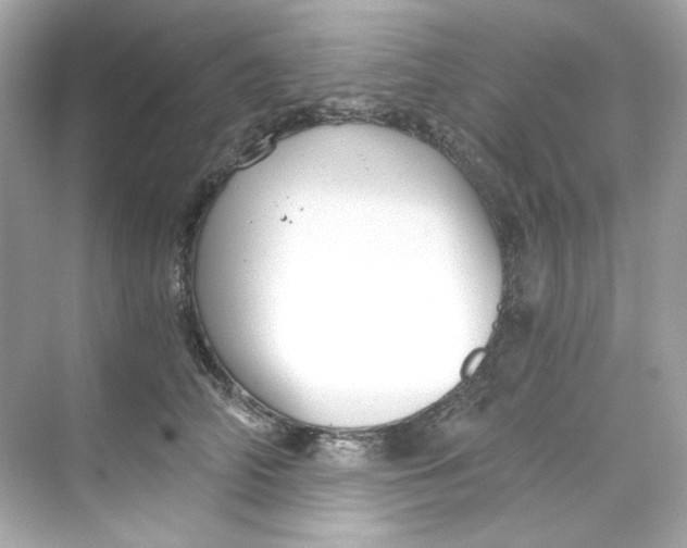 X0000069810706200606091835