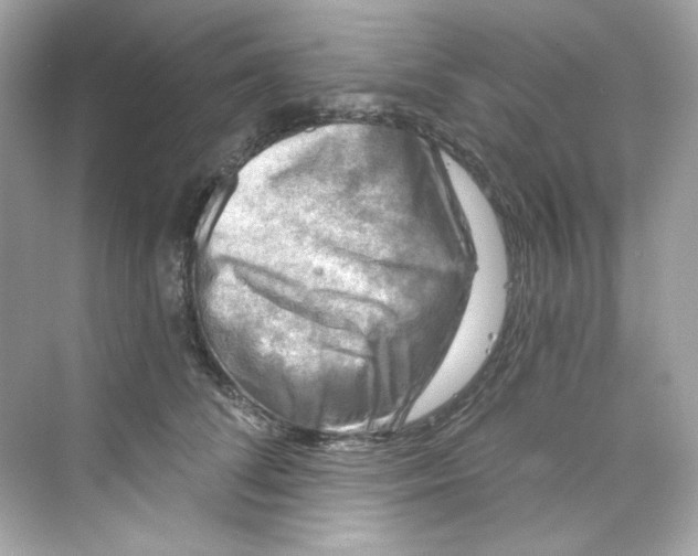 X0000069810708200606091835