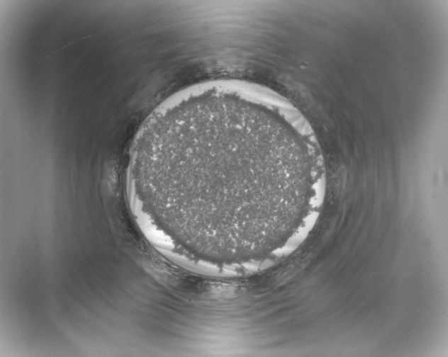 X0000069810709200606091835