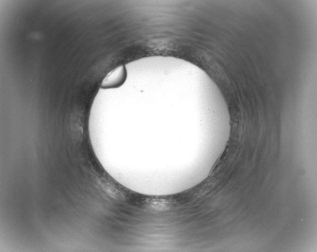 X0000069810710200606091835