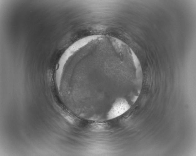 X0000069810711200606091835