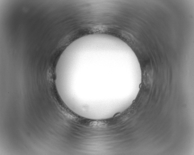 X0000069810714200606091835