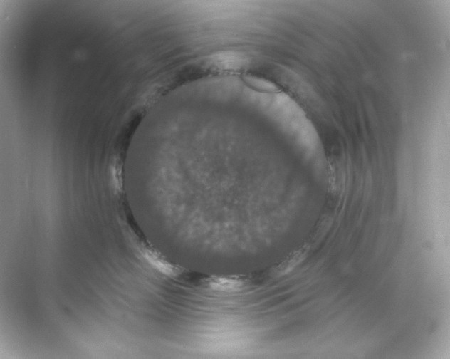 X0000069810718200606091835