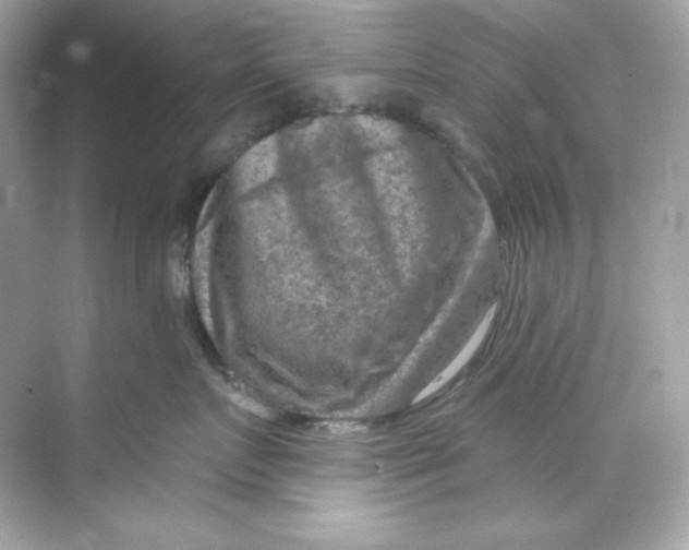 X0000069810719200606091835