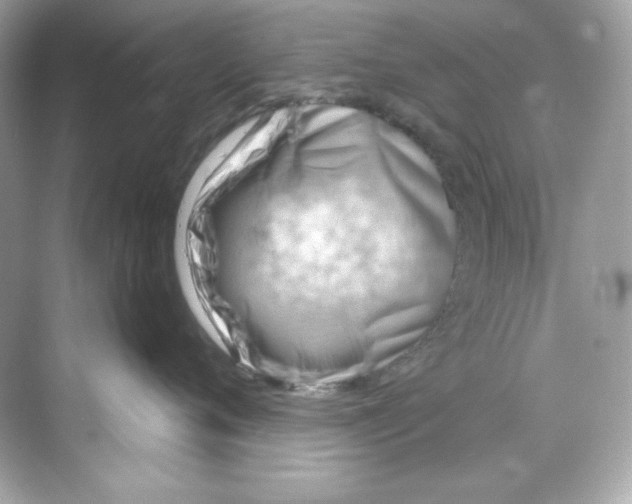 X0000069810720200606091835