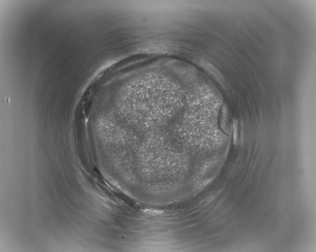 X0000069810723200606091834