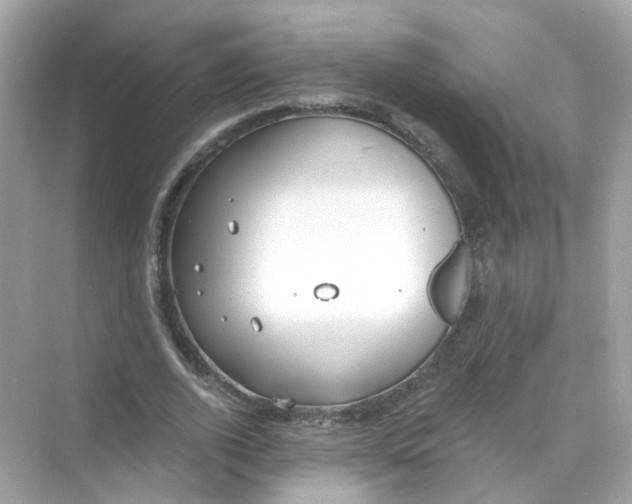 X0000069810728200606091834