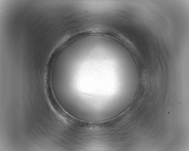 X0000069810730200606091834