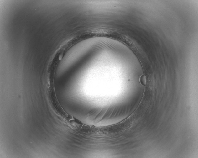 X0000069810731200606091834