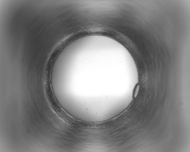 X0000069810732200606091834