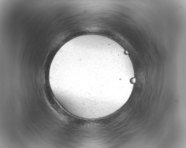 X0000069810734200606091834