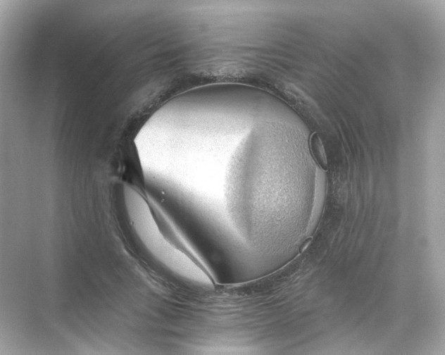 X0000069810735200606091834