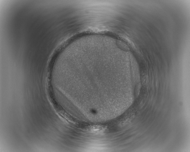 X0000069810736200606091834