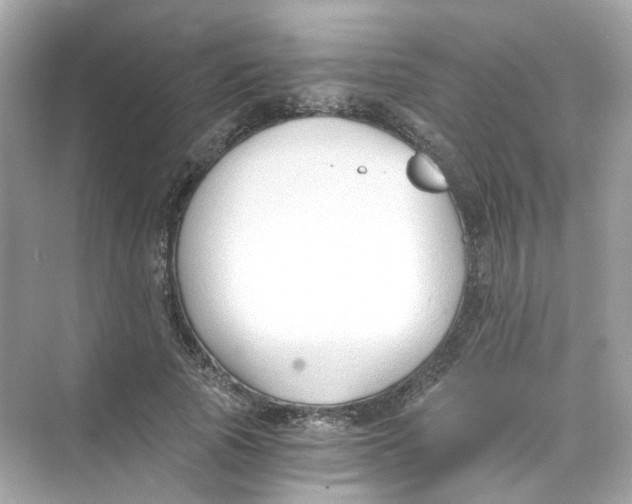 X0000069810737200606091834