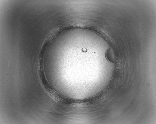 X0000069810738200606091834