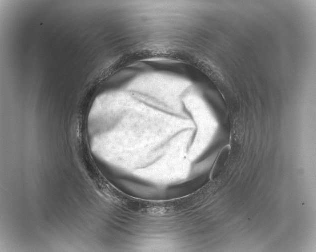 X0000069810740200606091834