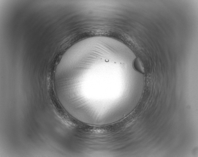 X0000069810741200606091834