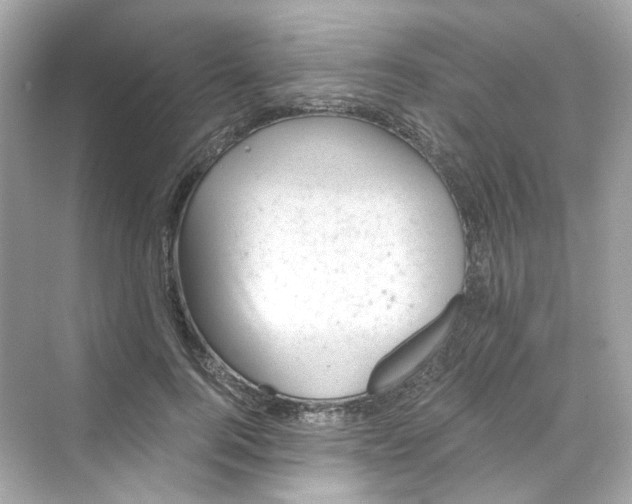 X0000069810744200606091834