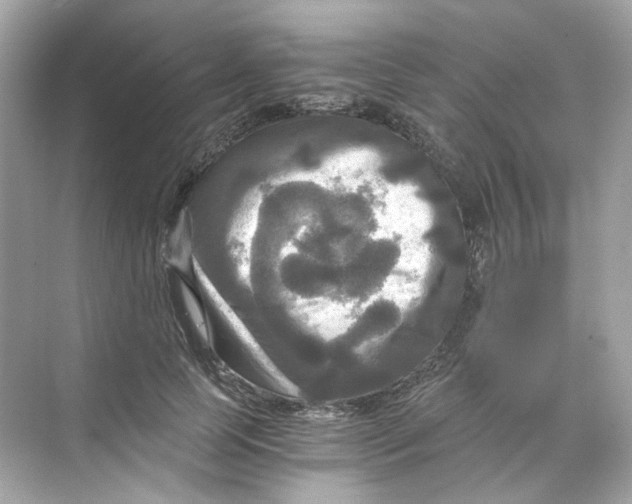 X0000069810745200606091834