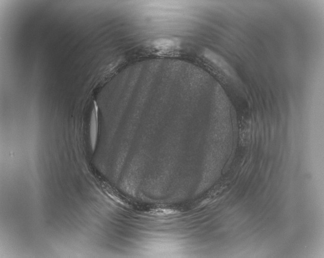 X0000069810748200606091834