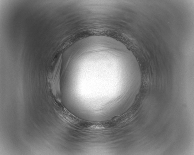 X0000069810749200606091834