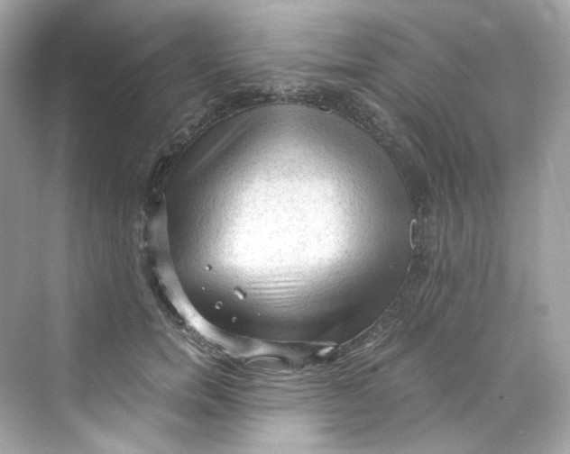 X0000069810750200606091834