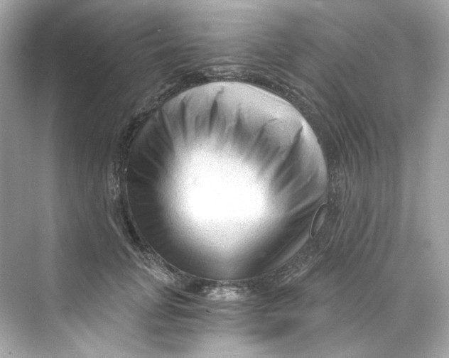 X0000069810751200606091834