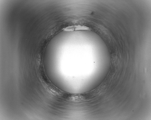 X0000069810752200606091834