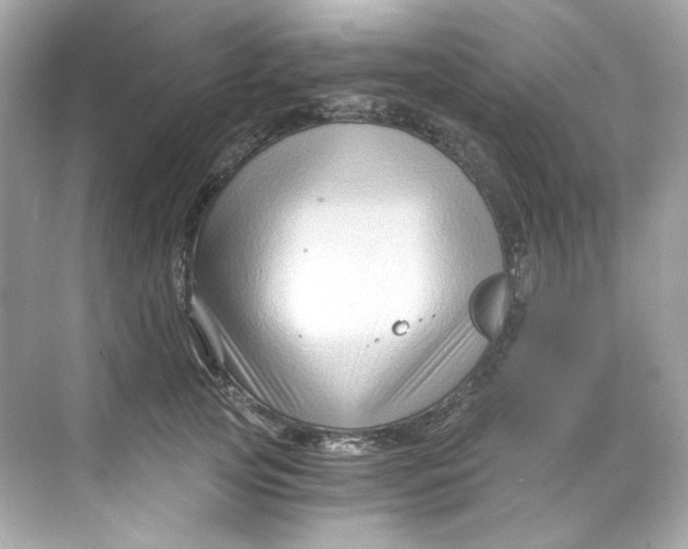 X0000069810753200606091834