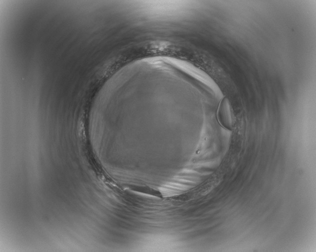 X0000069810754200606091834