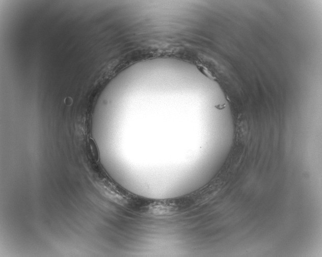 X0000069810756200606091834