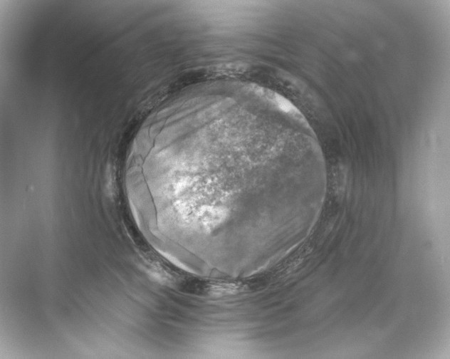 X0000069810757200606091834