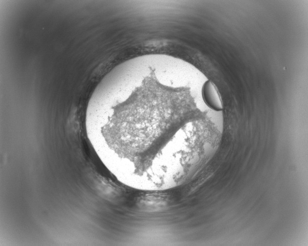 X0000069810758200606091835