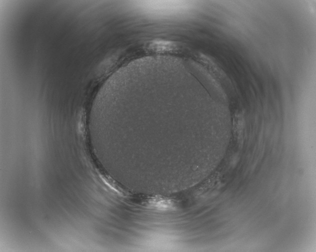 X0000069810760200606091835